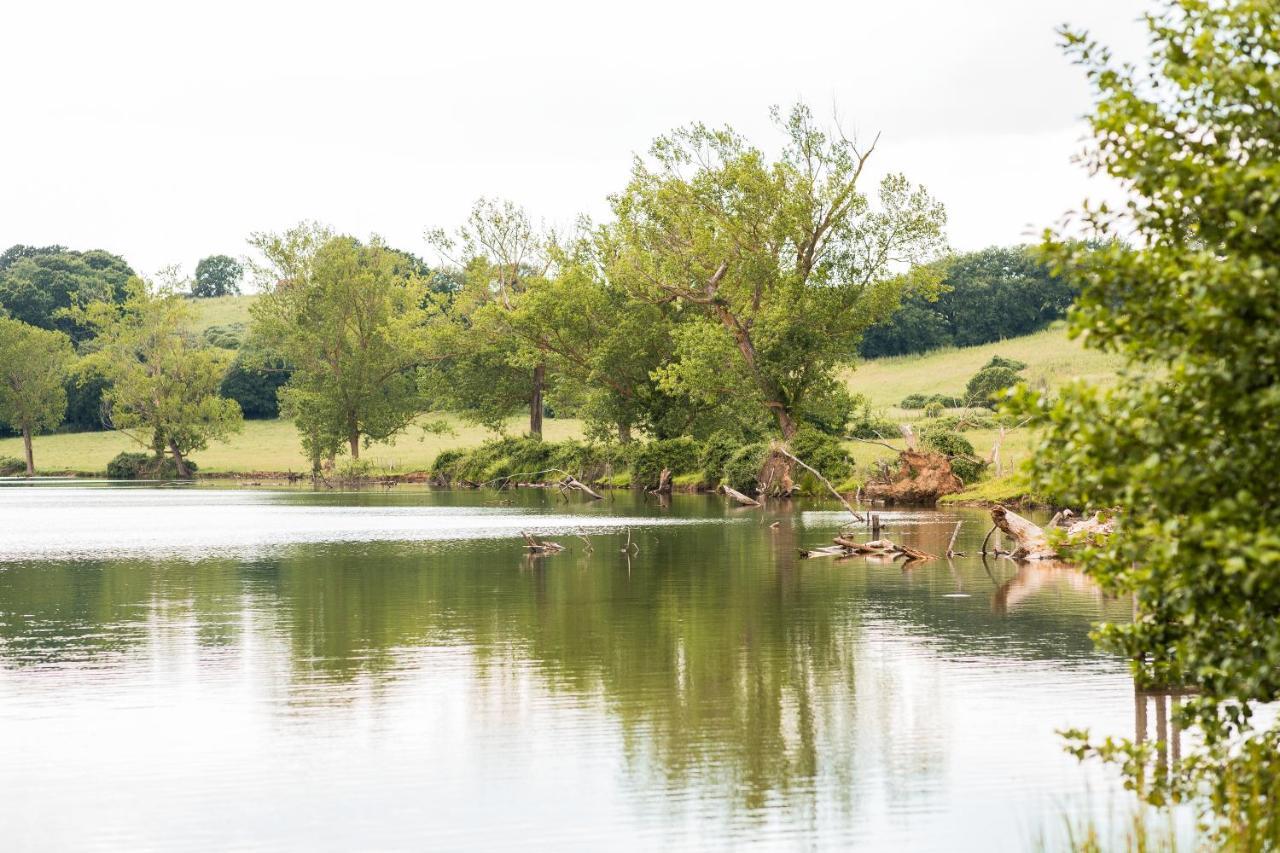 Agriturismo Lago Di Mezzano Valentano Dış mekan fotoğraf