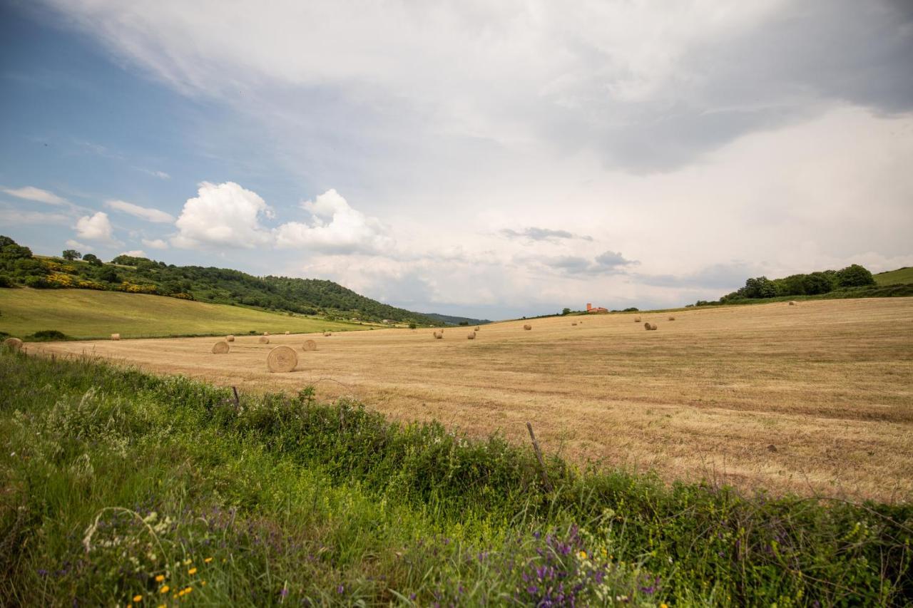 Agriturismo Lago Di Mezzano Valentano Dış mekan fotoğraf